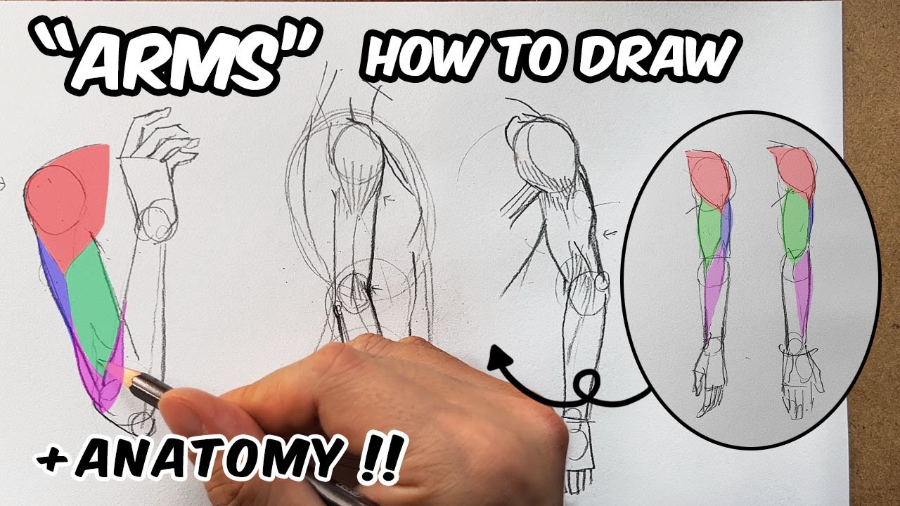 איך מציירים זרועות - Drawing