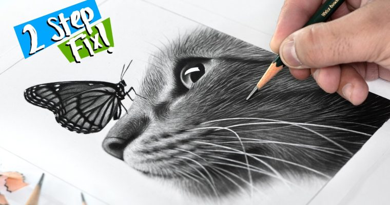 איך לצייר פרווה ריאליסטית בעיפרון: מדריך שלב אחר שלב